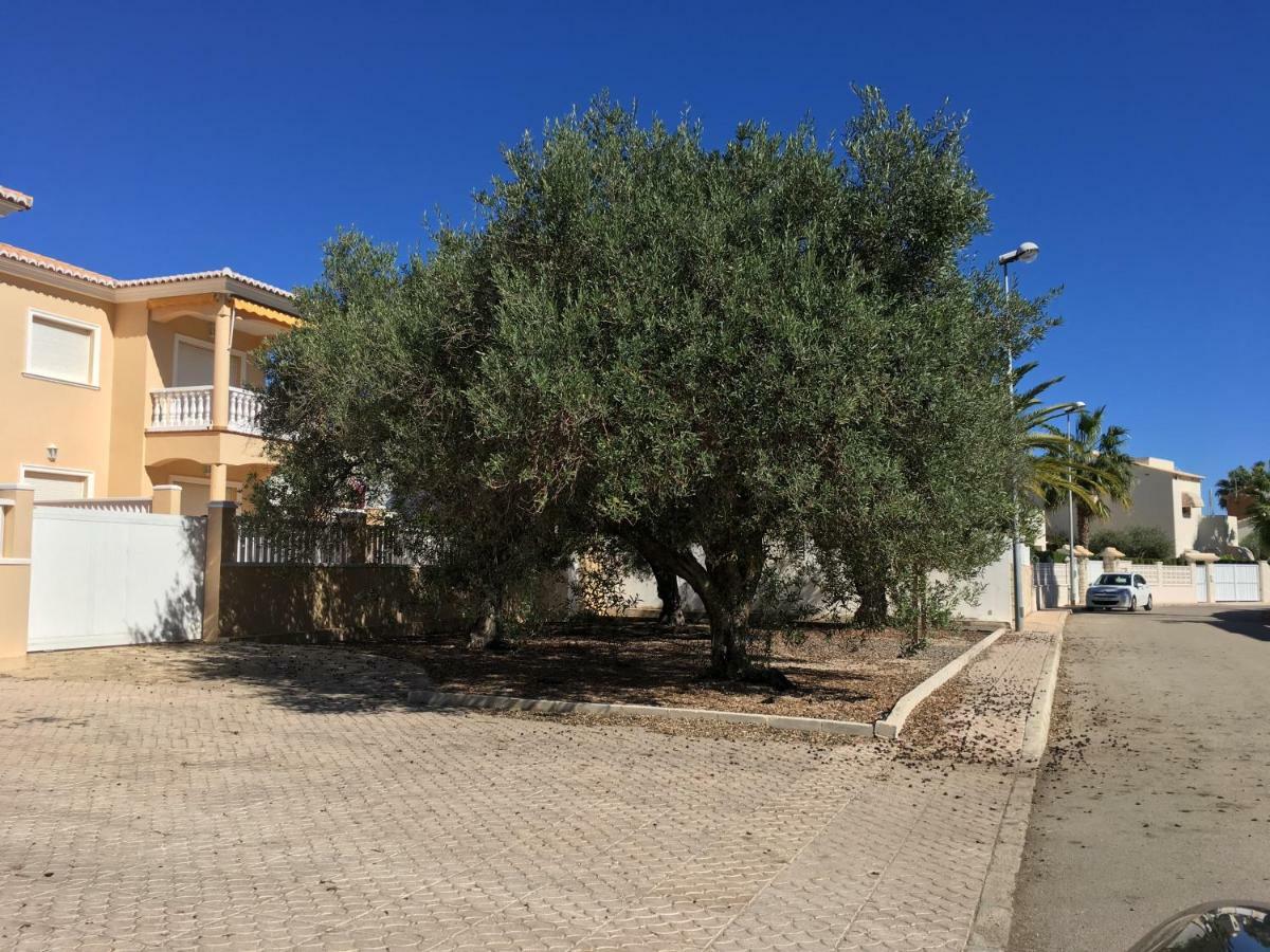 Frente Al Mar - Velazquez Villa Oliva Eksteriør billede